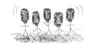 images (3)
